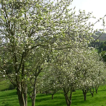 Turismo Rural El Sidron منزل ريفي Piloña