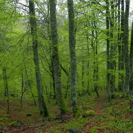 Turismo Rural El Sidron * Piloña