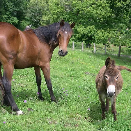 Turismo Rural El Sidron Piloña