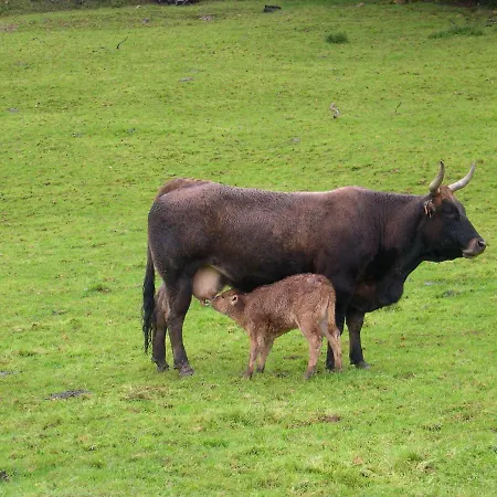 Turismo Rural El Sidron *